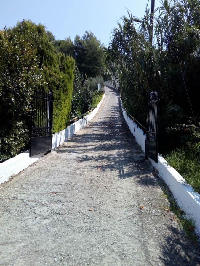 Villa Xanthippi Agia Paraskevi  Bagian luar foto