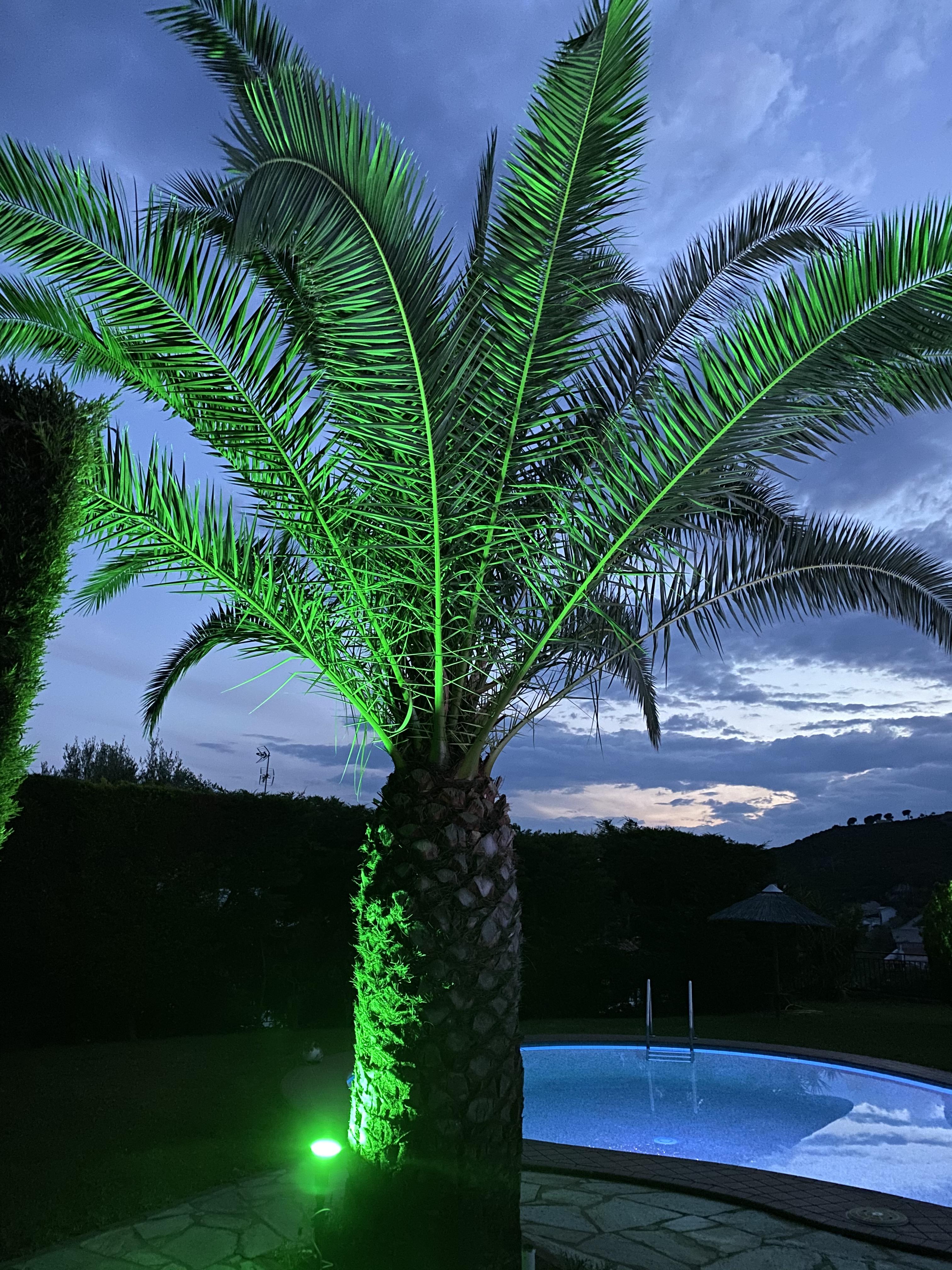 Villa Xanthippi Agia Paraskevi  Bagian luar foto
