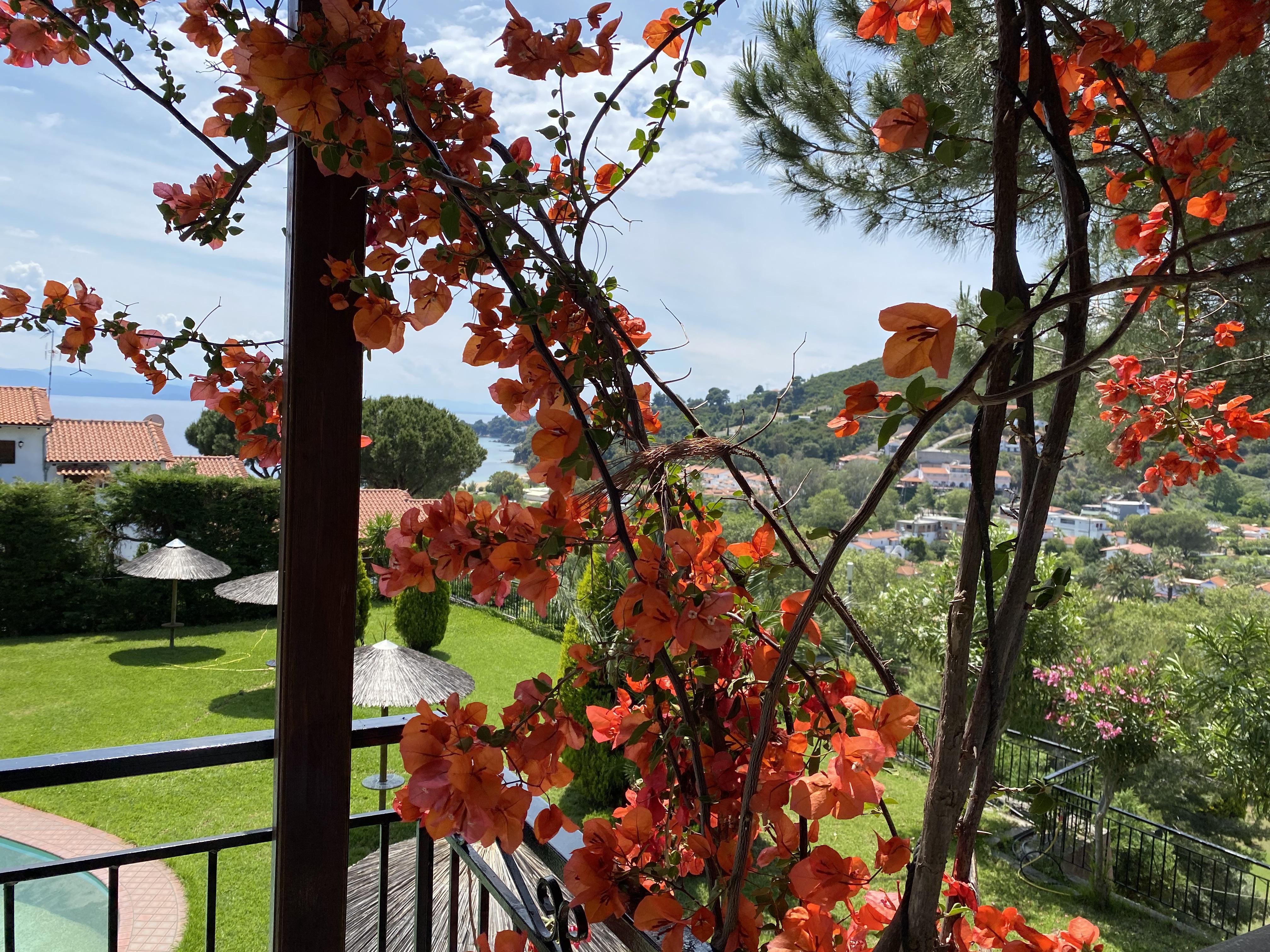 Villa Xanthippi Agia Paraskevi  Bagian luar foto