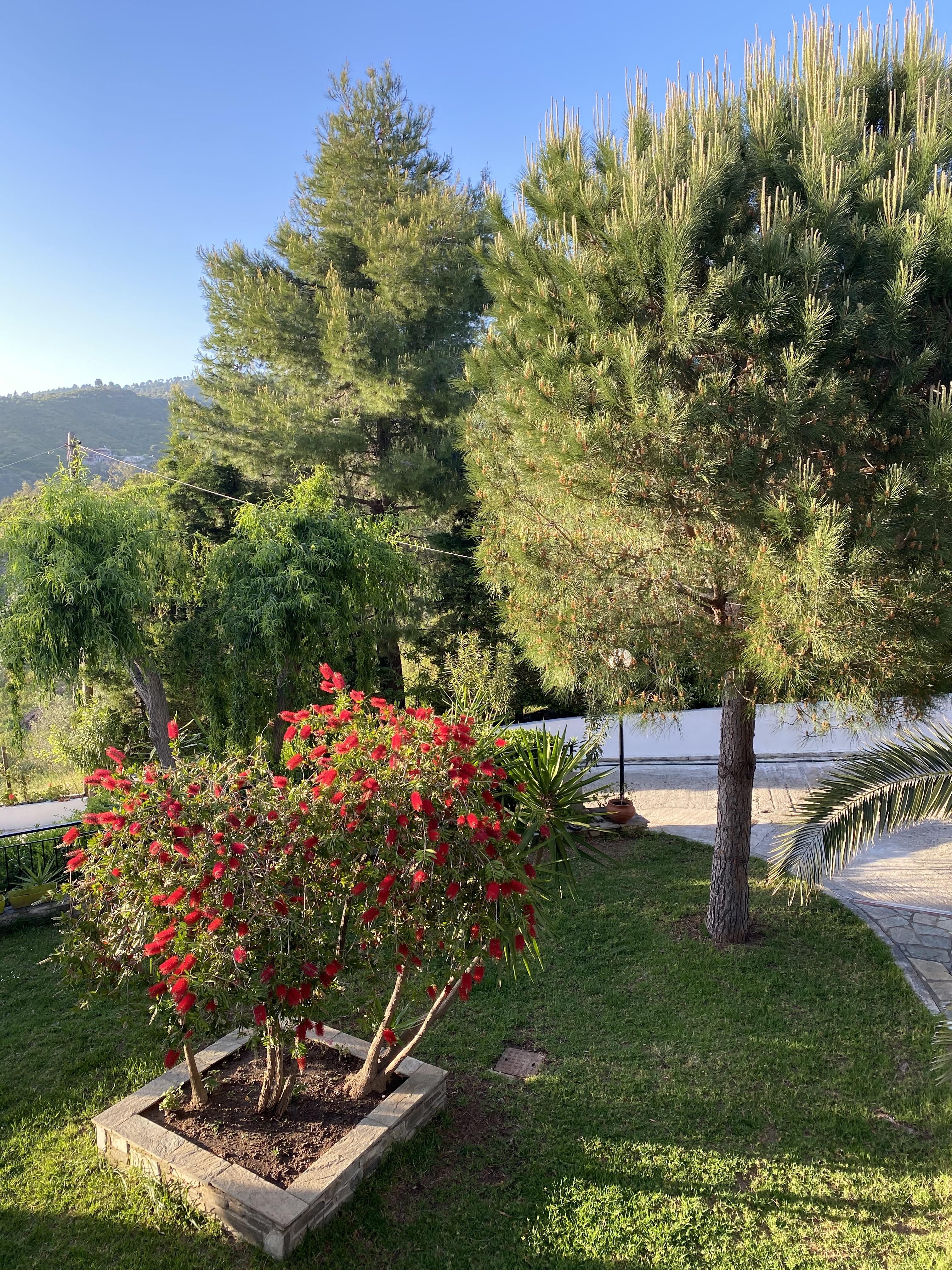 Villa Xanthippi Agia Paraskevi  Bagian luar foto