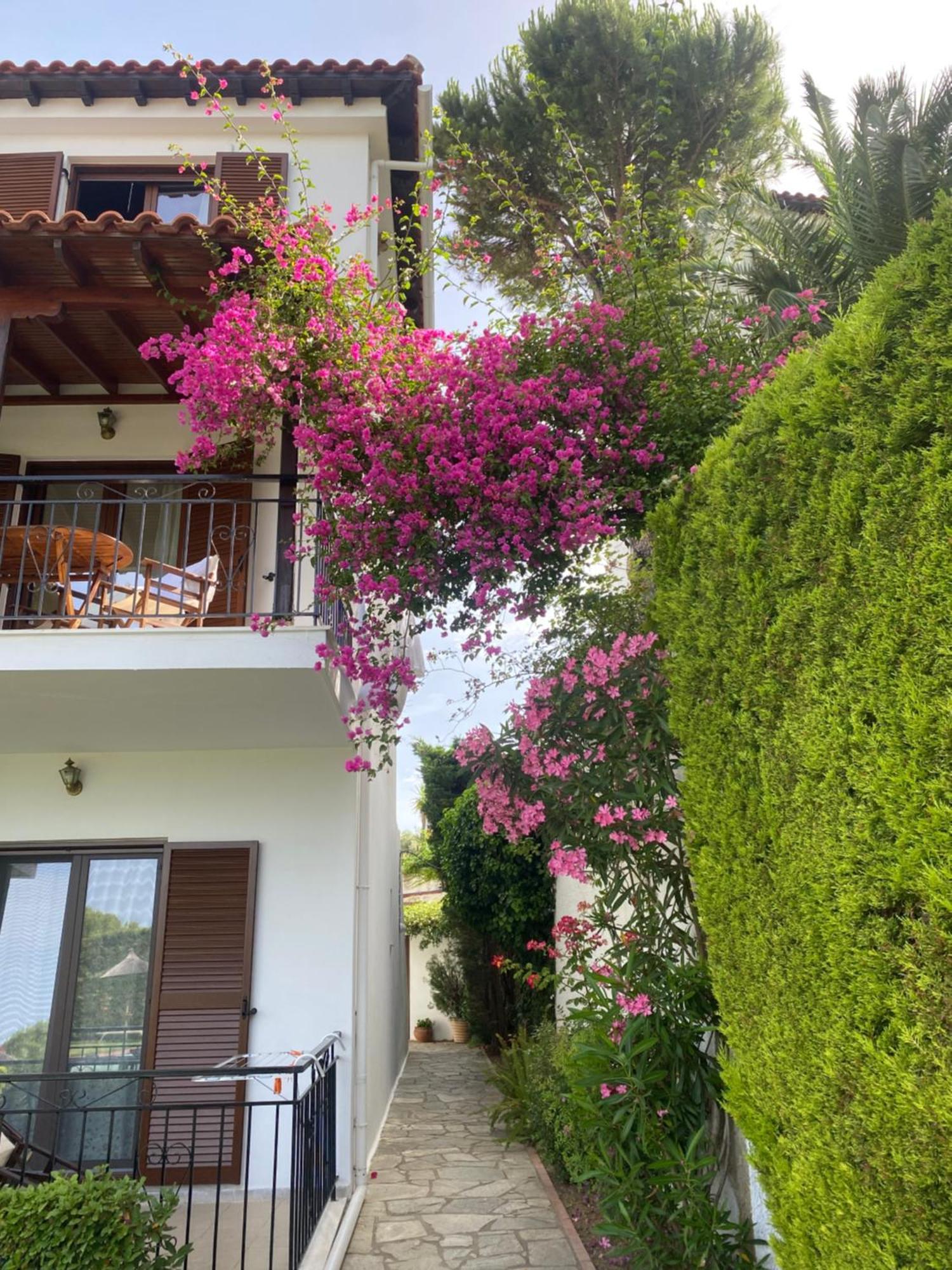 Villa Xanthippi Agia Paraskevi  Bagian luar foto